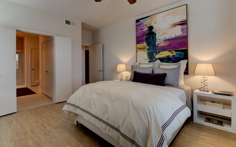 Apartment Features