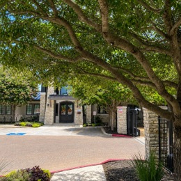 a tree near a building