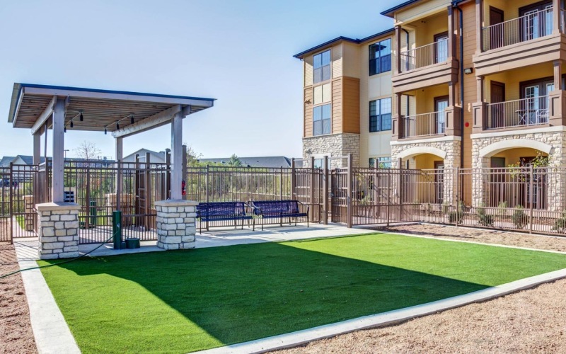 a fenced-in dog park